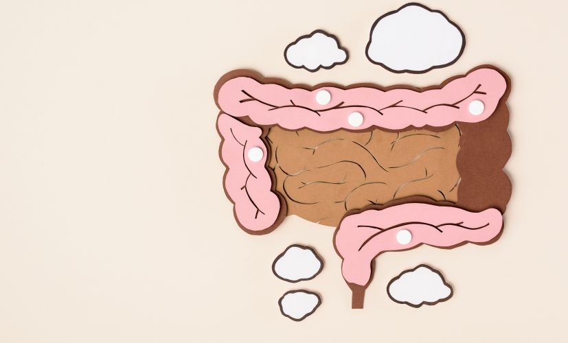 elevated-view-of-human-large-intestine
