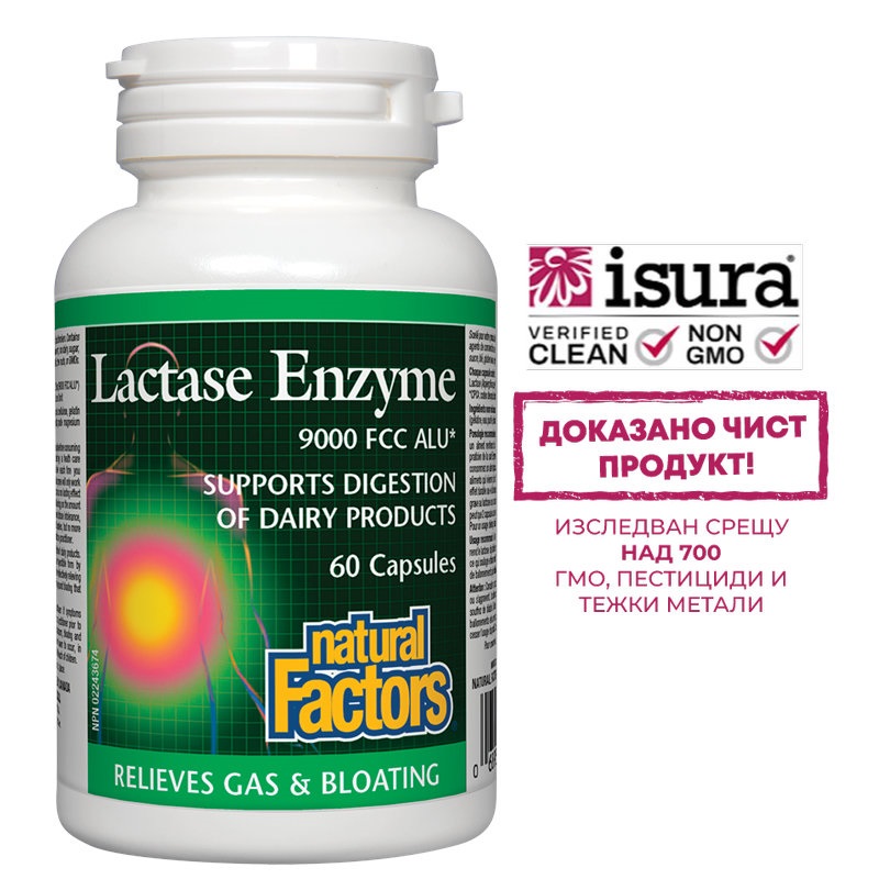 NATURAL FACTORS LACTASE ENZYME x 60 caps