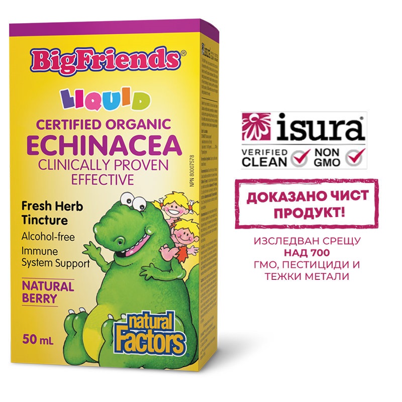 NATURAL FACTORS ECHINACEA BigFriends 1000mg for immune and respiratory system 50ml