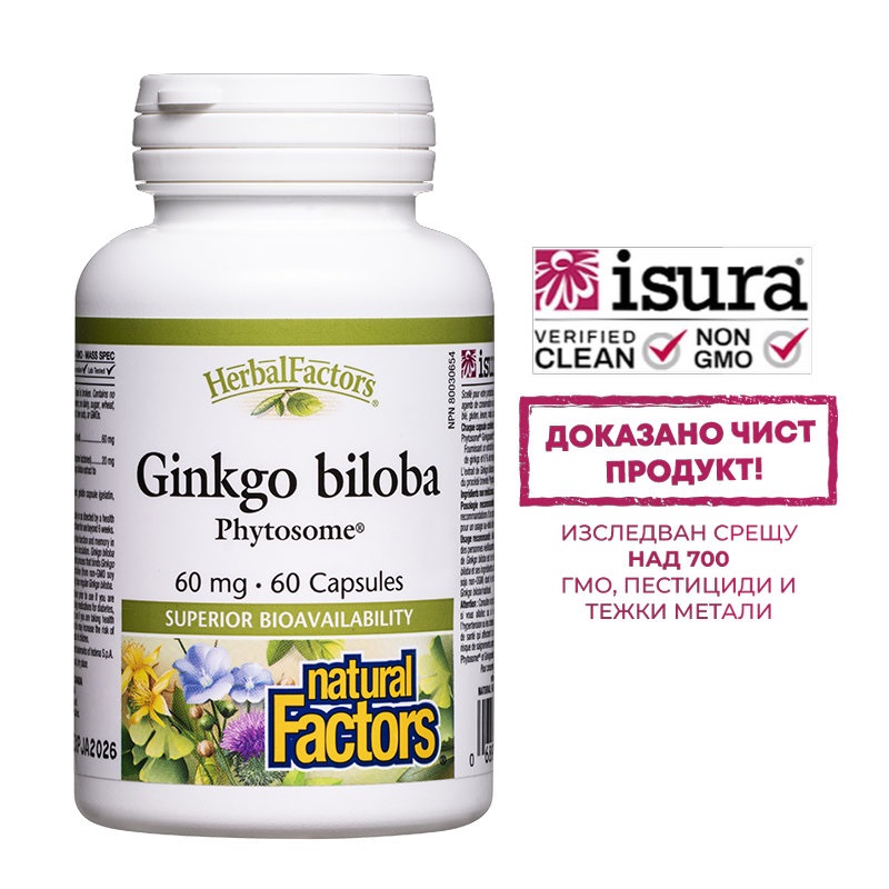 NATURAL FACTORS GINKGO BILOBA Phytosome 60mg Ginkgo biloba Phytosomes for normal brain function x 60 caps