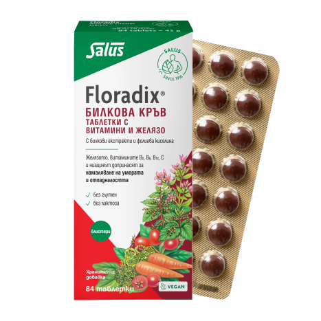 FLORADIX KREUTERBLUT Билкова кръв с желязо x 84 tabl