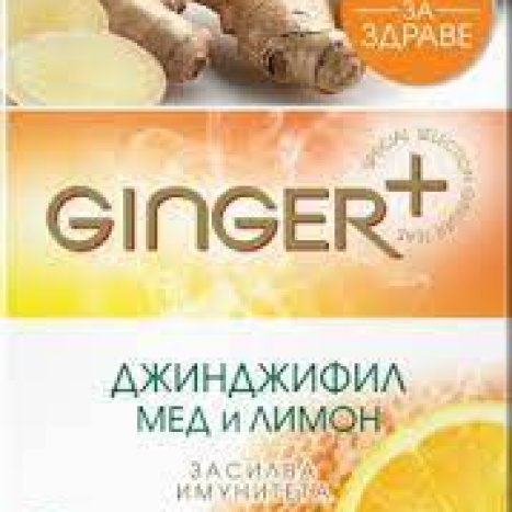 TEA Ginger and Orange x 20