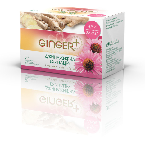 Ginger and Echinacea TEA x 20
