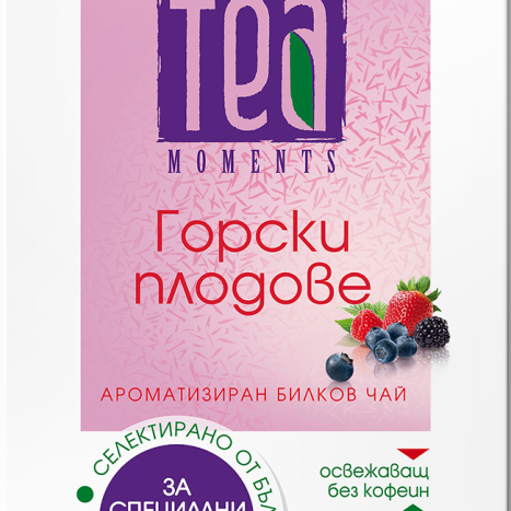 TEA Tea Moments Forest Berries x 20