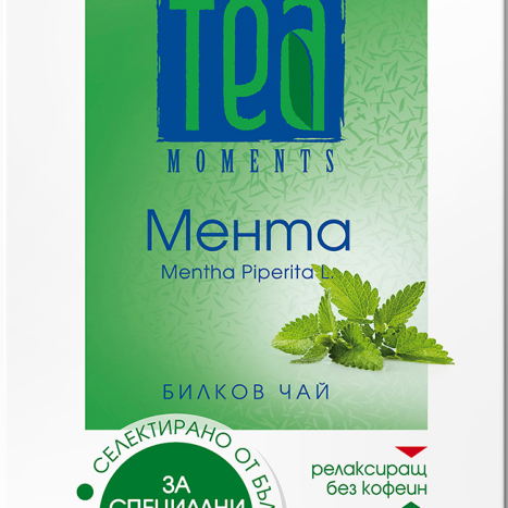 TEA Tea Moments Mint x 20