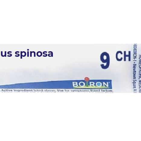 BOIRON PRUNUS SPINOSA 9CH