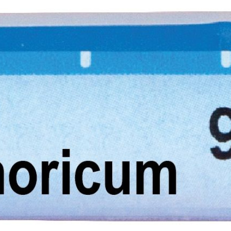 BOIRON NATRUM PHOSPHORICUM 9CH