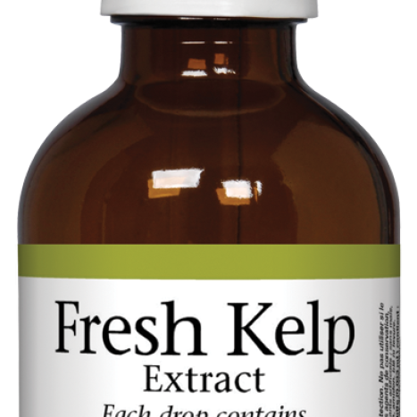 NATURAL FACTORS Fresh Kelp liquid kelp 50ml