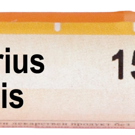 BOIRON MERCURIUS SOLUBILIS 15CH