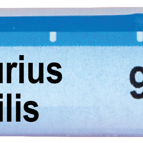 BOIRON MERCURIUS SOLUBILIS 9CH