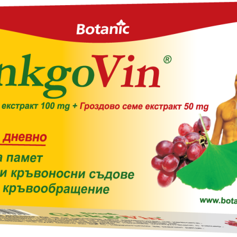 GINKGO VIN for memory and concentration x 60tabl