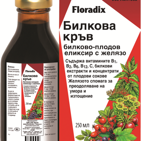 FLORADIX KREUTERBLUT Herbal blood elixir with iron 250ml