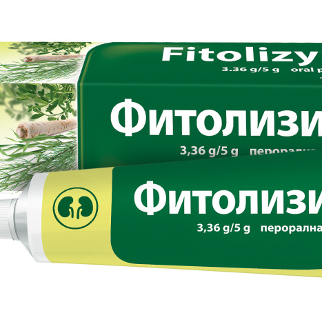 FITOLIZYN oral paste oral paste for the urinary tract 100g