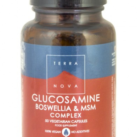 Terra Nova Glucosamine, Boswellia and MSM complex - 50 capsules