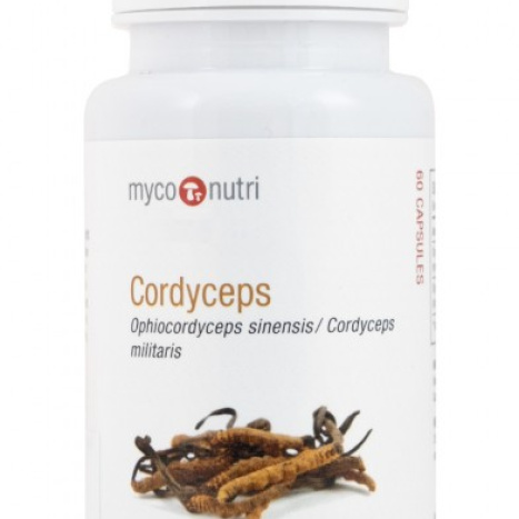 REALLY HEALTHY COMPANY CORDYCEPS Cordyceps for vitality x 60 veg caps