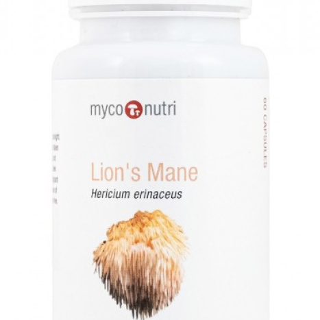 REALLY HEALTHY COMPANY LION'S MANE Lion's mane x 60 caps