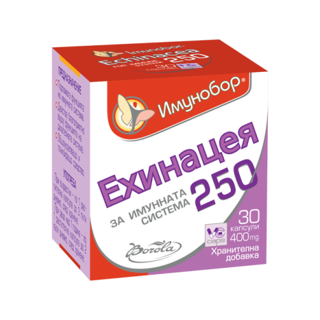 BOROLA IMUNOBOR ECHINACEA The highest amount of Echinacea for immunity x 30 caps
