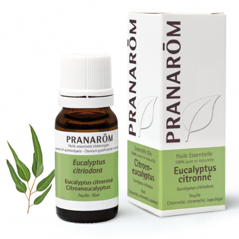 PRANAROM Essential oil eucalyptus lemon 10ml
