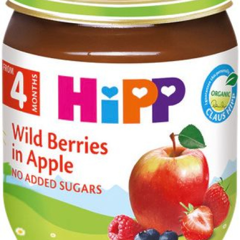 HIPP BIO FOREST FRUIT PURES WITH APPLE 125g 4203