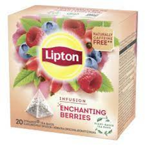 LIPTON Плодов чай Малина и Боровинка x 20