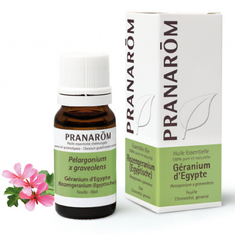 PRANAROM Essential oil Egyptian geranium 10ml
