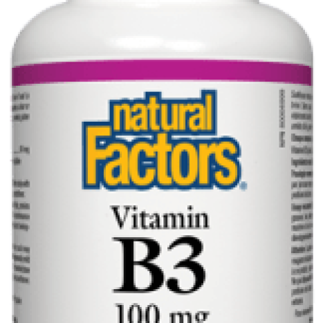 NATURAL FACTORS Витамин B-3 100mg x 90 tabl