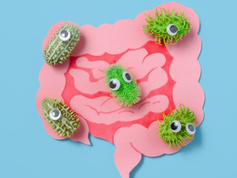 Глисти и паразити в тялото: Как да разпознаем скритите симптоми