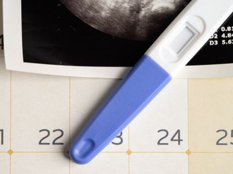 Кога и как да направим тест за бременност: Всичко, което трябва да знаем за точен резултат