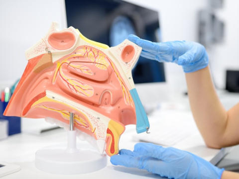 Загубата на обоняние - ранен сигнал за полипи в носа