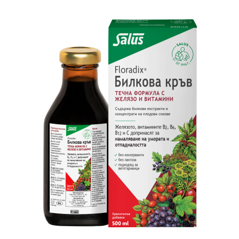 FLORADIX KREUTERBLUT Herbal blood elixir with iron 500ml