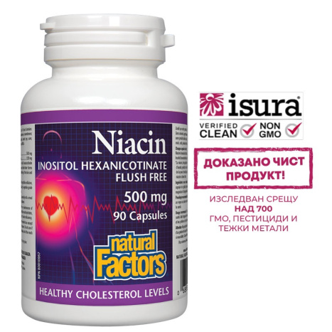 NATURAL FACTORS NIACIN 500mg x 90 tabl
