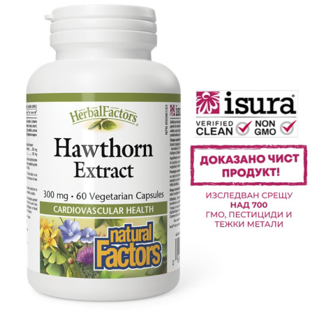 NATURAL FACTORS Hawthorn extract 300mg x 60 caps