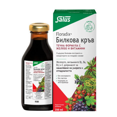 FLORADIX KREUTERBLUT Herbal blood elixir with iron 250ml