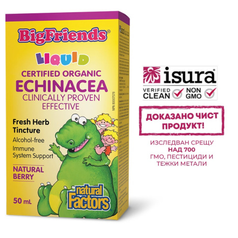 NATURAL FACTORS ECHINACEA BigFriends 1000mg for immune and respiratory system 50ml