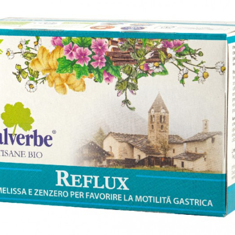 VALVERBE TEA Чай Рефлукс маточина и джинджифил БИО, филтър х 20