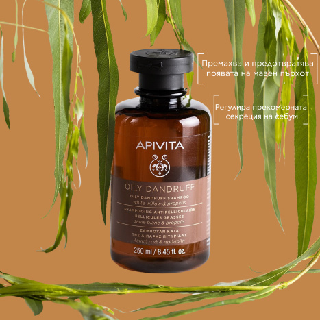 APIVITA Shampoo for oily dandruff 250ml