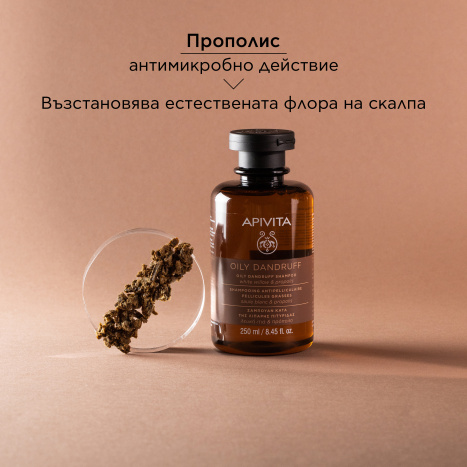 APIVITA Shampoo for oily dandruff 250ml