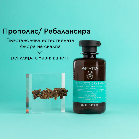 APIVITA Shampoo for oily scalp and dry hair ends 250ml