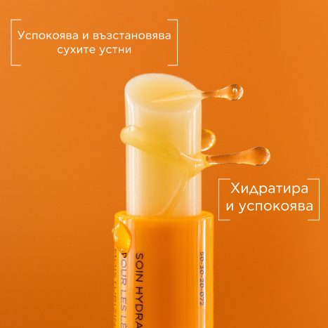 APIVITA Стик за устни с мед 4,4g