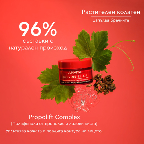 APIVITA BEEVINE ELIXIR Обновяващ нощен крем 50ml